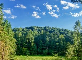 Rustic-Ranch-view-web